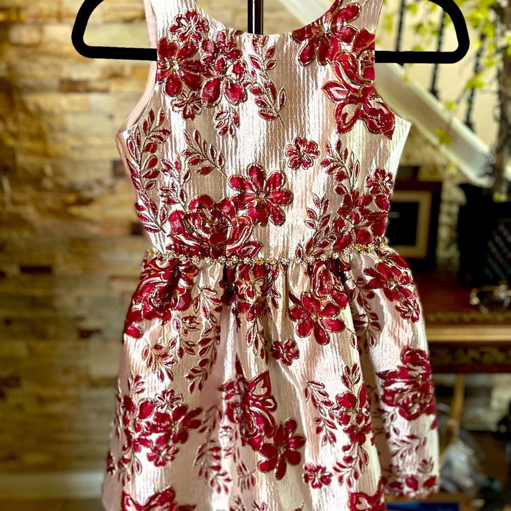 ✨✨✨⭐️Rare edition Holidays Dress🎄🦃🎉
